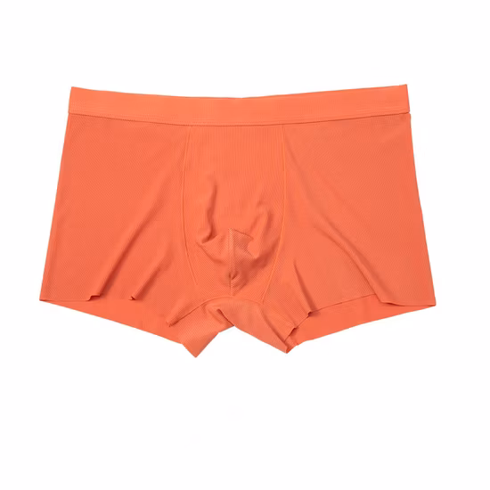 Custom Logo Mesh Boxer for Men Underwear