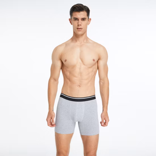 Men′ S Cotton Briefs Seamless Underwear Boxers Breathable Briefs